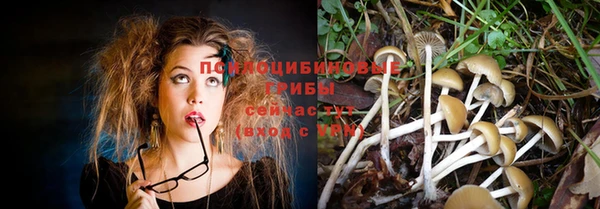 Альфа ПВП Бугульма