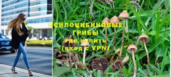 Альфа ПВП Бугульма